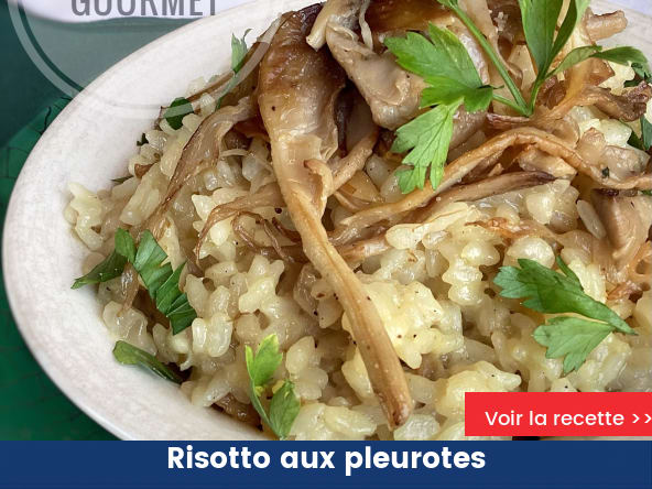 Risotto aux pleurotes